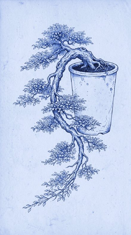Blue-toned vintage botanical illustration of a cascade bonsai spilling over its pot, in the WISLR theme