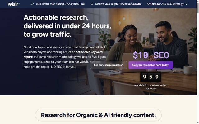 Screenshot of the WISLR $10 SEO page