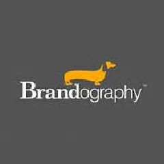 Brandography logo