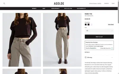 Agolde product page on desktop, Shopify luxury fashion storefront captured at 1440 x 900